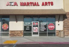 Martial Arts Full Vinyl Front